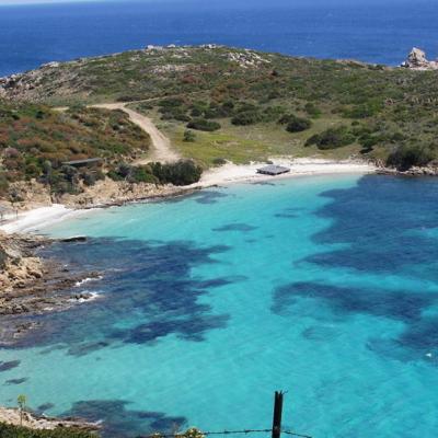Asinara Sardegna